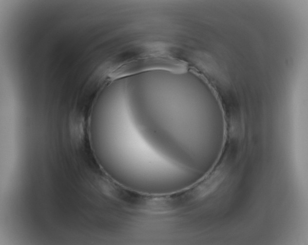 X0000113751161200909301026