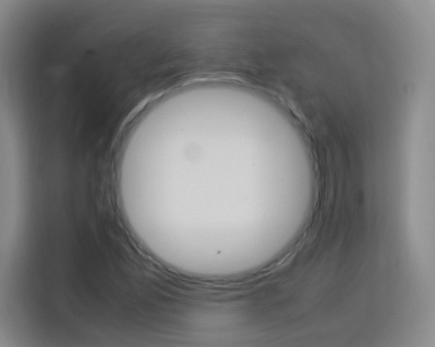 X0000113751165200909301026