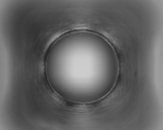 X0000113751167200909301026