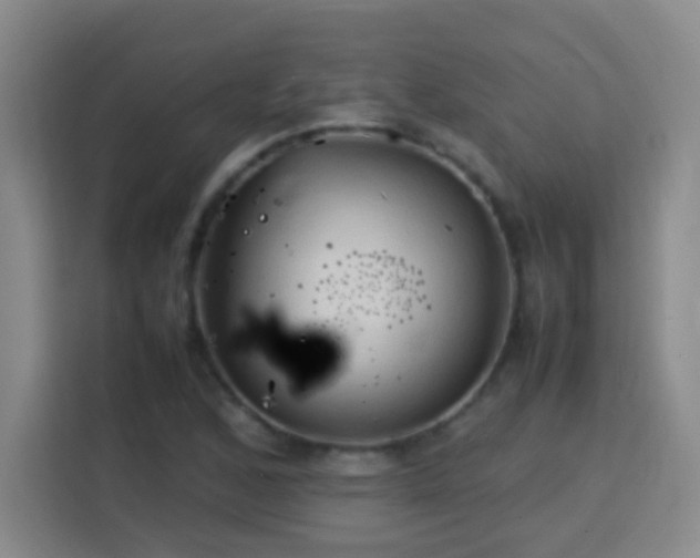 X0000113751168200909301026