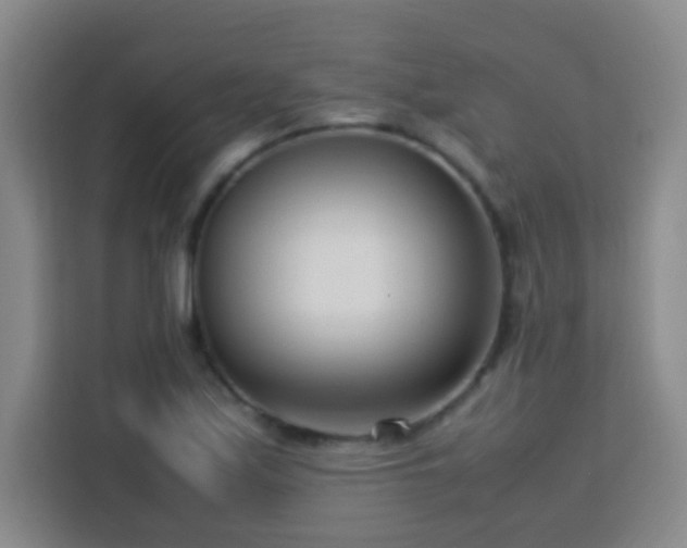 X0000113751171200909301026