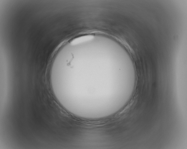 X0000113751173200909301026