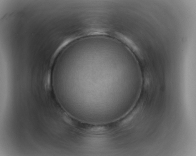 X0000113751174200909301026