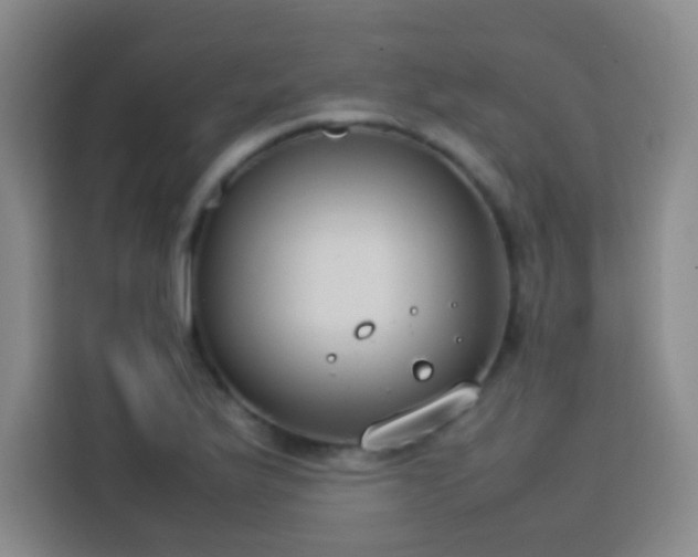 X0000113751175200909301026