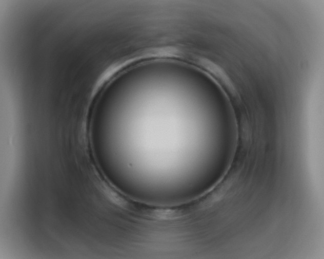 X0000113751176200909301026
