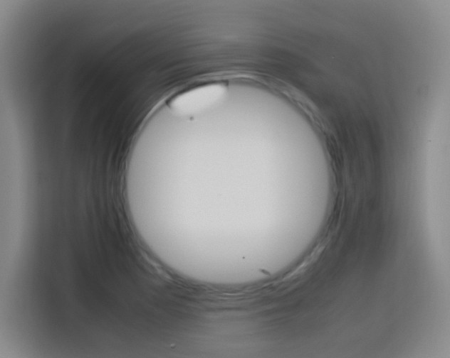 X0000113751177200909301026