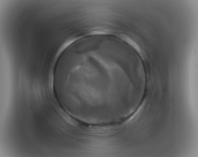 X0000113751179200909301026