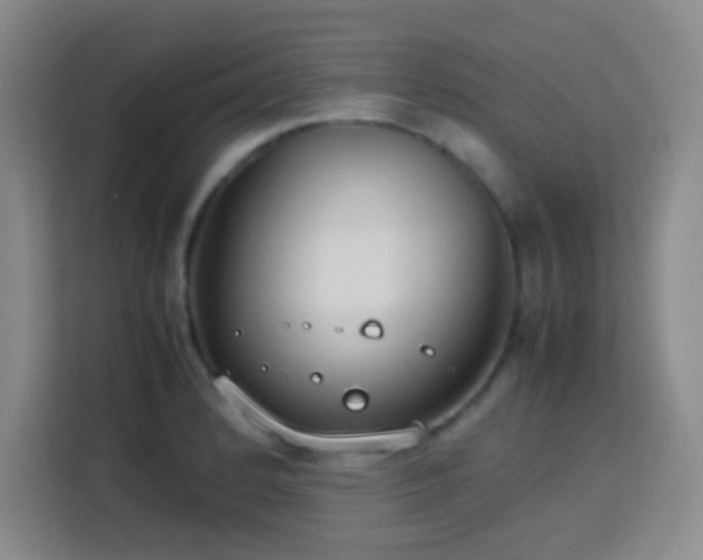 X0000113751184200909301026