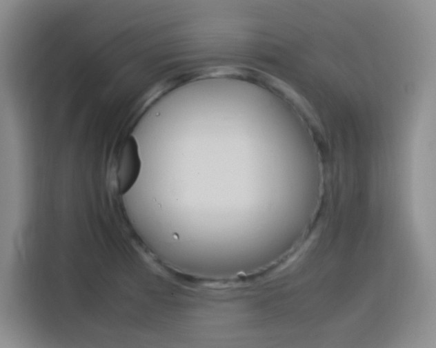 X0000113751185200909301025
