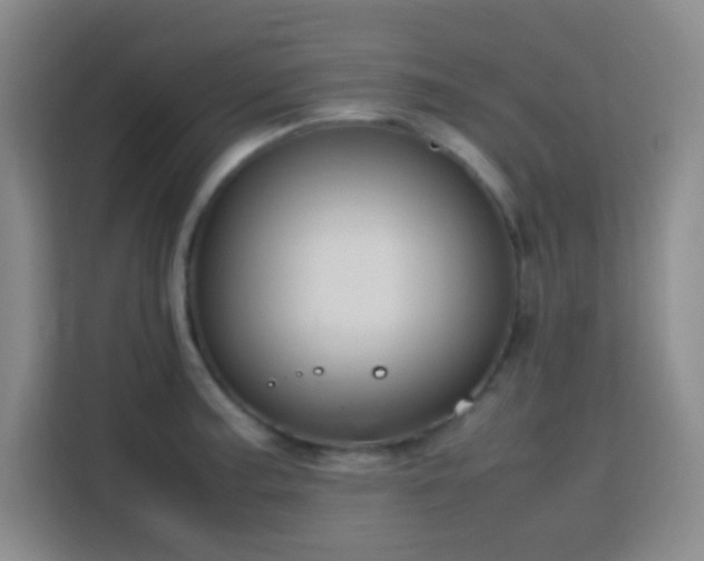 X0000113751187200909301025