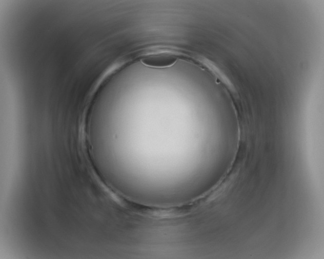 X0000113751189200909301025