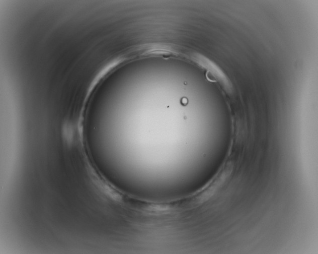 X0000113751190200909301025