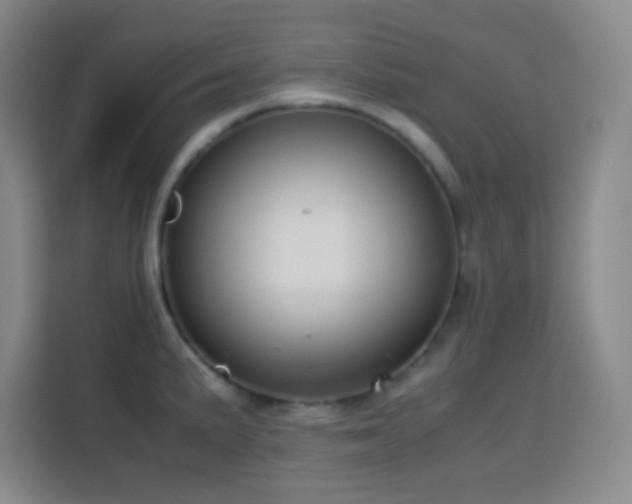 X0000113751191200909301025
