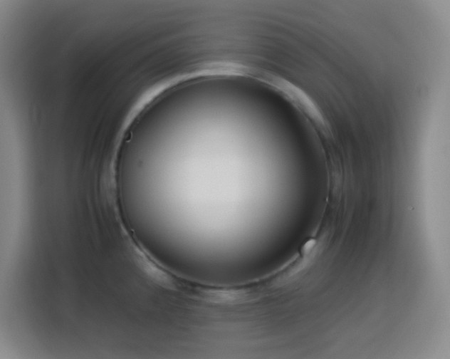 X0000113751192200909301025