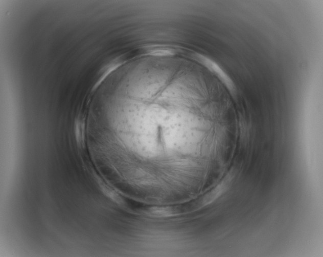 X0000113751194200909301025