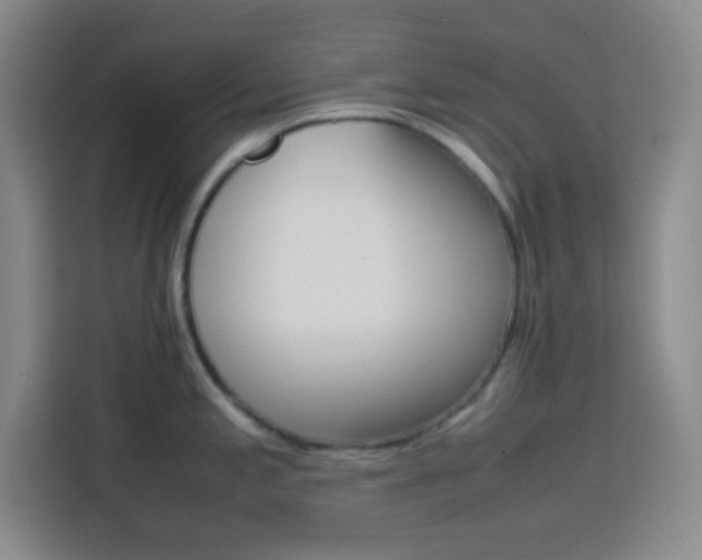 X0000113751197200909301025