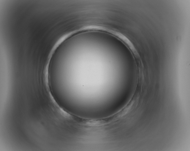 X0000113751199200909301025