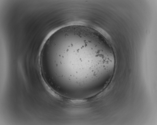 X0000113751200200909301025