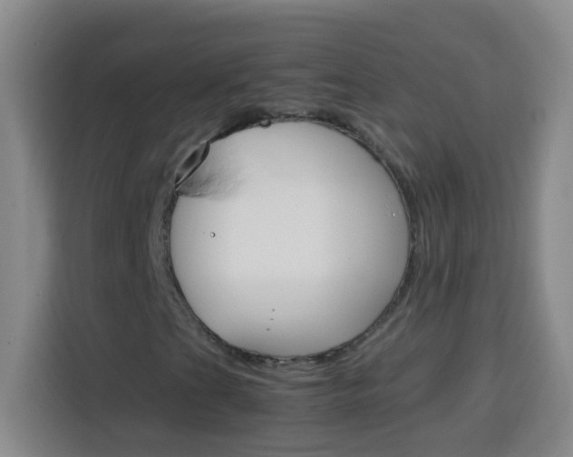 X0000113751201200909301025