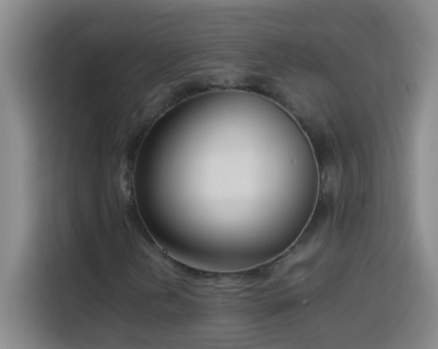 X0000113751202200909301025