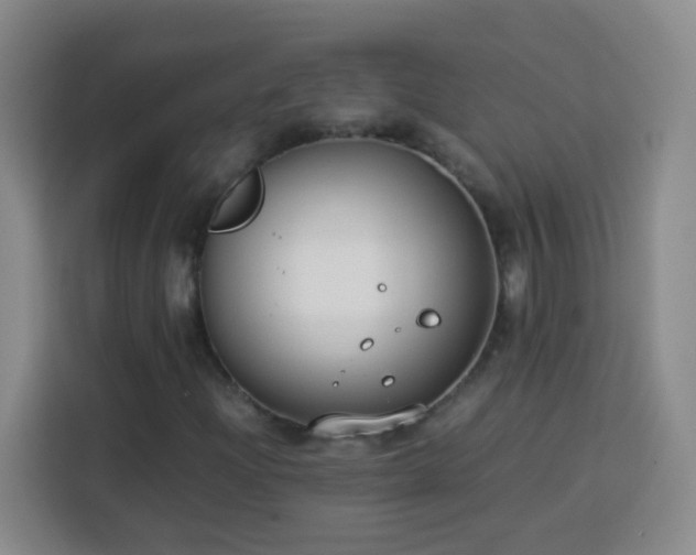 X0000113751204200909301025