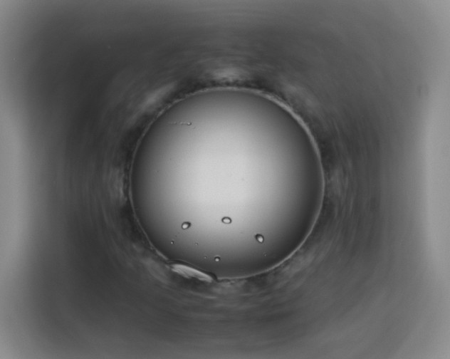 X0000113751205200909301025