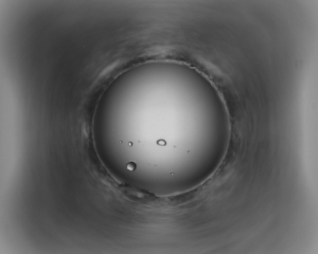 X0000113751206200909301025