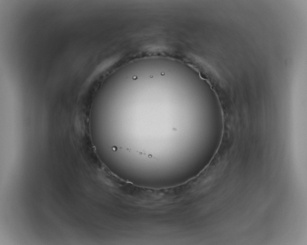 X0000113751207200909301025
