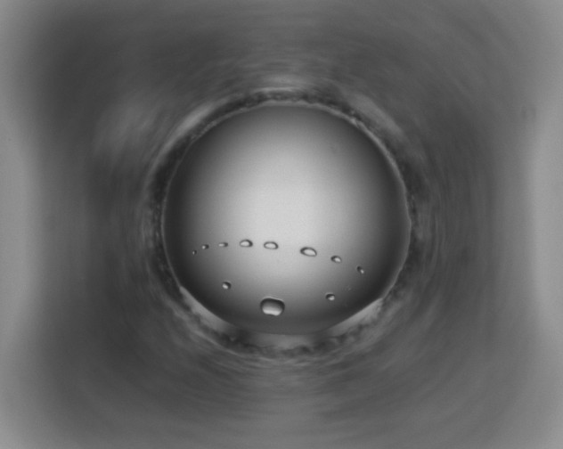 X0000113751208200909301025