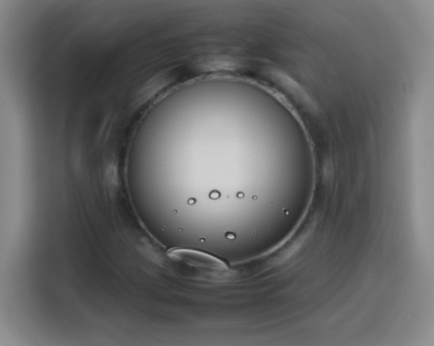 X0000113751209200909301025