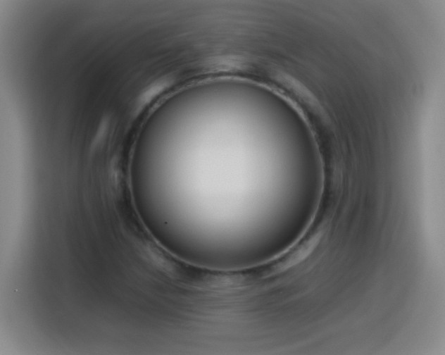 X0000113751210200909301025