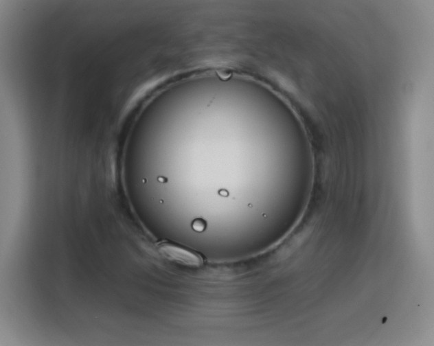 X0000113751214200909301025