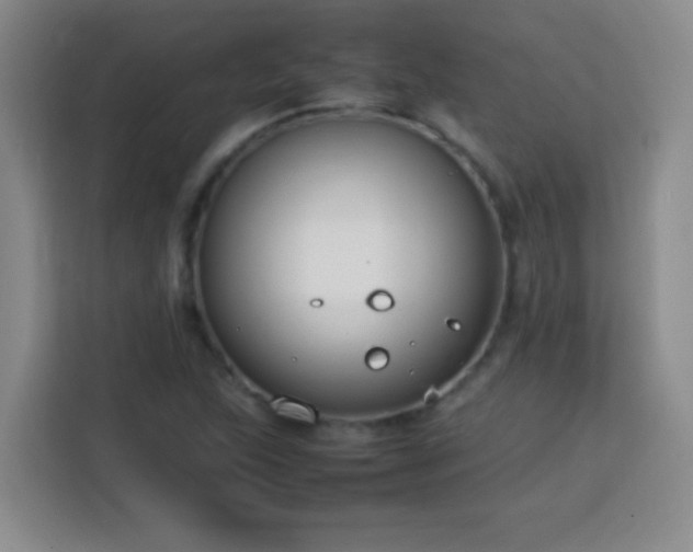 X0000113751215200909301025