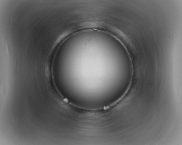 X0000113751218200909301025