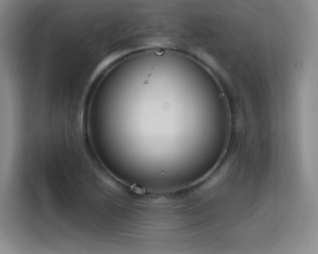 X0000113751222200909301025