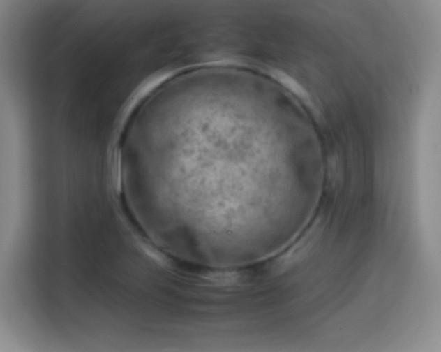 X0000113751223200909301025