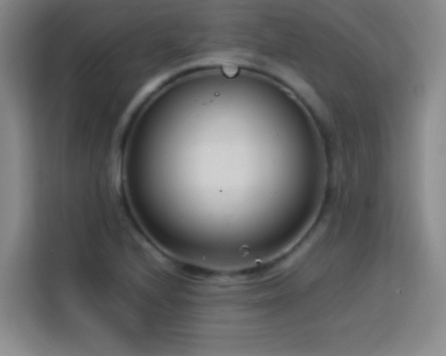 X0000113751224200909301025