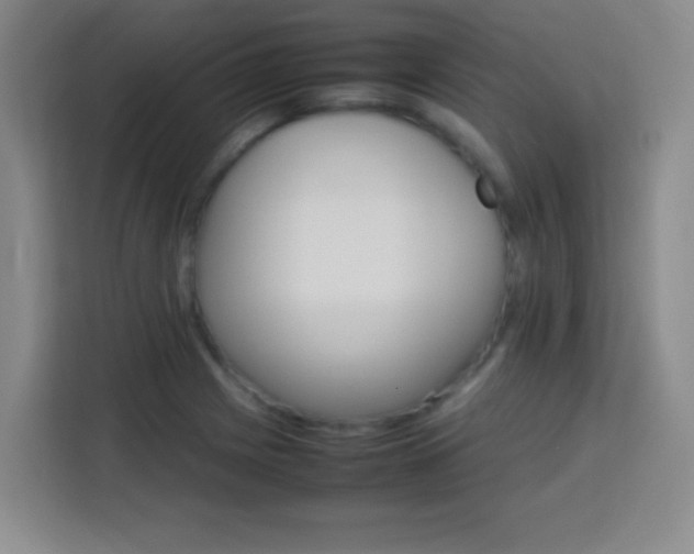 X0000113751225200909301025