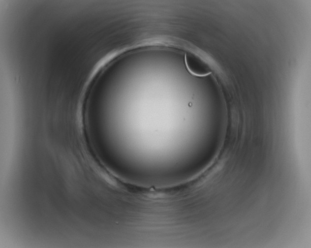 X0000113751230200909301025