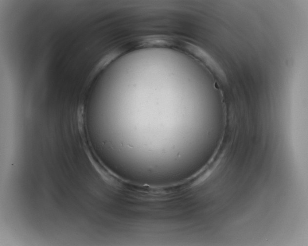 X0000113751233200909301025