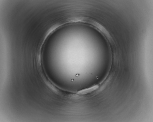 X0000113751234200909301025