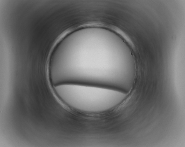 X0000113751237200909301025