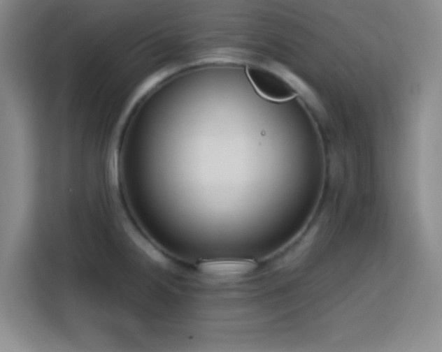 X0000113751238200909301025