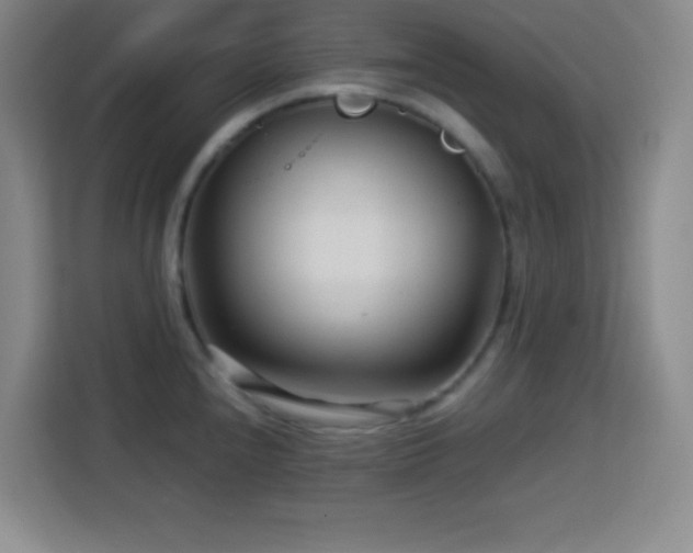 X0000113751240200909301025
