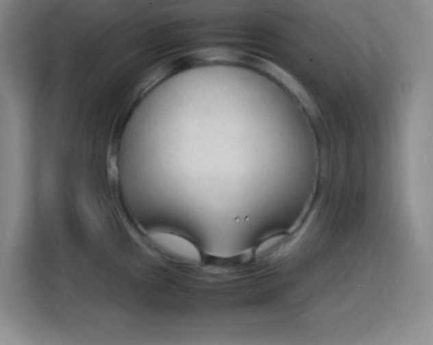 X0000113751241200909301025
