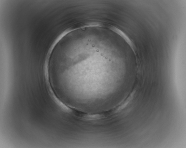 X0000113751243200909301025