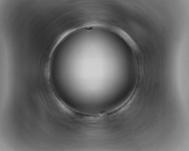 X0000113751244200909301025