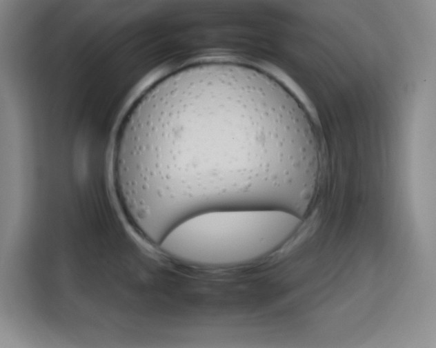 X0000113751245200909301025