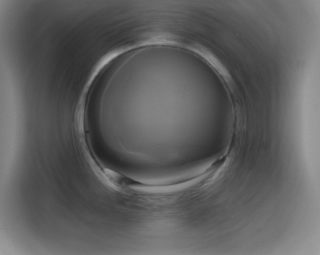 X0000113751246200909301025
