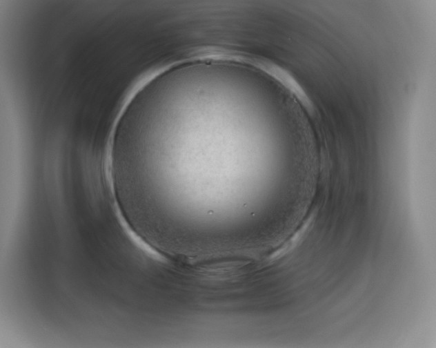 X0000113751247200909301025